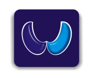 WiceCom Logo